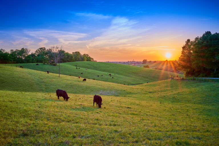 Merricks Capital Agriculture